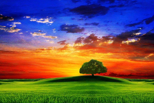 طبیعت 7