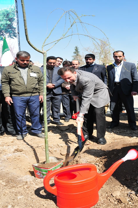 برگزاری مراسم روز درختکاری