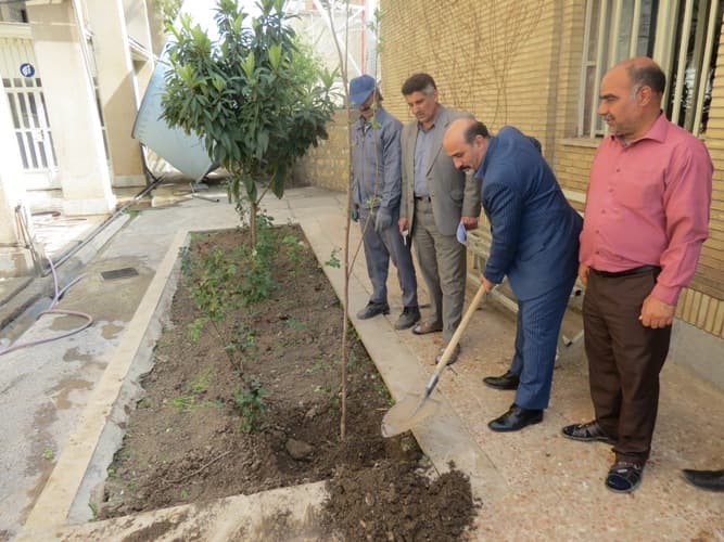 مراسم روز درختکاری در اداره کل ارتباطات زیرساخت استان لرستان برگزار شد