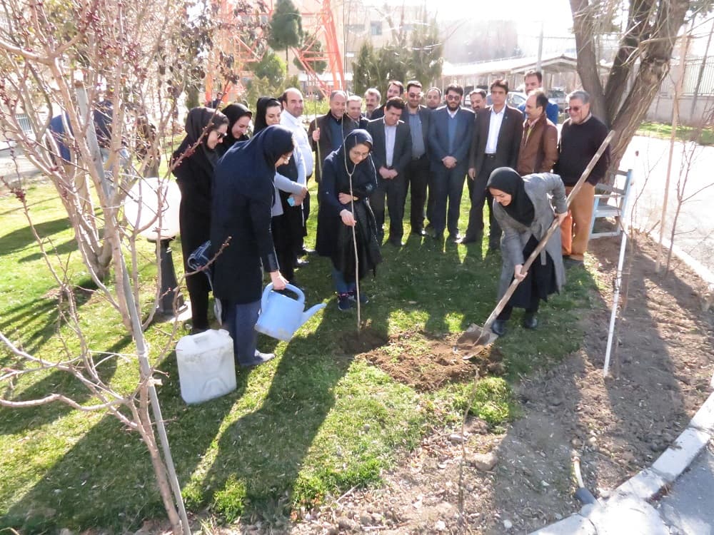 گرامیداشت روز درختکاری در اداره کل ارتباطات زیرساخت استان البرز