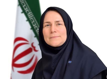 نرگس حسینی به عنوان مدیرکل توسعه سرمایه انسانی منصوب شد