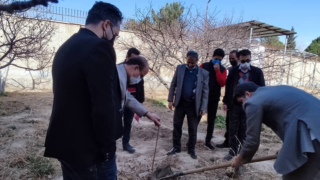 غرس نهال در مرکز ارتباطی شهید کریمی شاهرود  ​