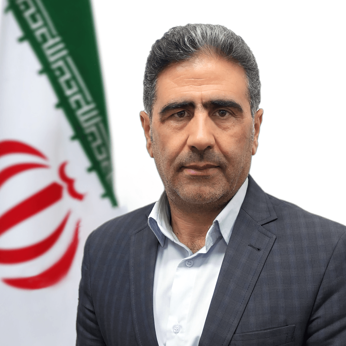 حمید مظاهری طامه