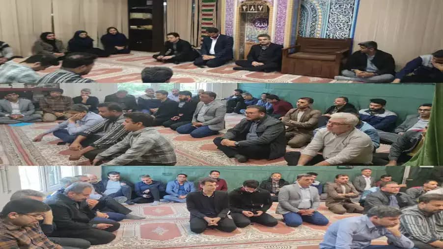 جلسه پرسش و پاسخ کارکنان مدیریت ارتباطات زیرساخت استان بوشهر