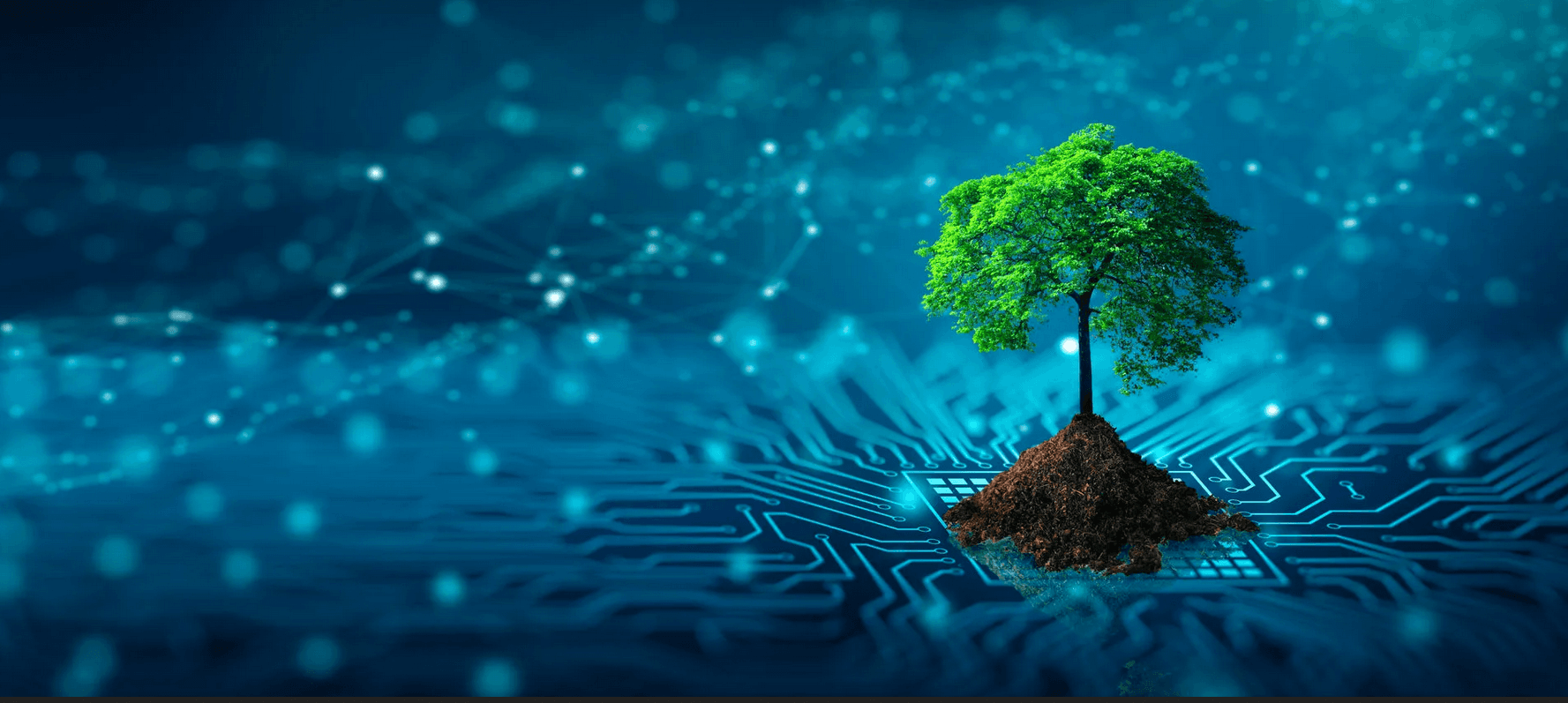 How can climate pledges capture digital impact?