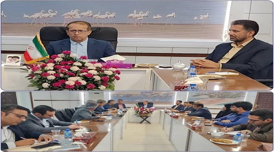 برگزاری نشست شورای راهبردی توسعه ارتباطات و فناوری اطلاعات استان بوشهر در شهرستان دیر